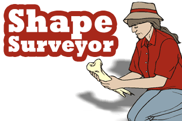 Shape Surveyor Geometry Game