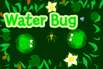 Water Bug