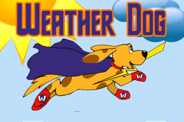 Weather Dog