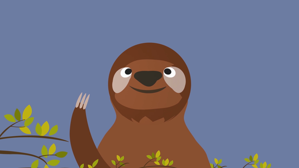 Did You Know: Sloths -- Thumbnail