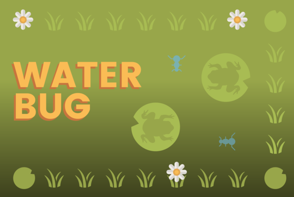 Water Bug -- Thumbnail